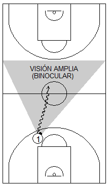 Gráfico de baloncesto que recoge a un atacante botando el balón hacia el campo de ataque usando su visión amplia, uno de los principios básicos ofensivos