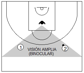 Gráfico de baloncesto que recoge a un defensor usando su visión amplia respecto a dos atacantes